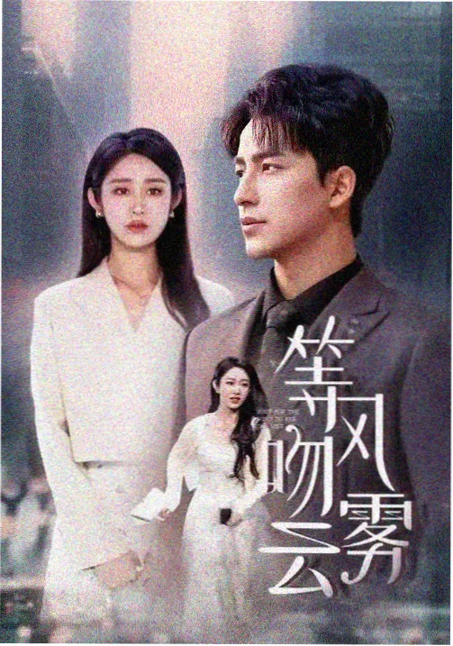 剧集雾港档案详情海报